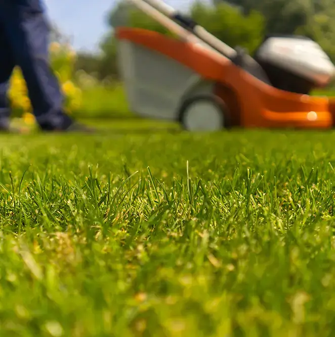 Mowing a lush green lawn