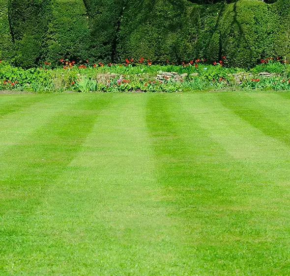 Mowing a lush green lawn